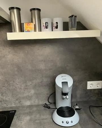 Zentrales Dachgeschossapartment In Leichligen לייכלינגן